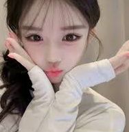 精选介绍指南